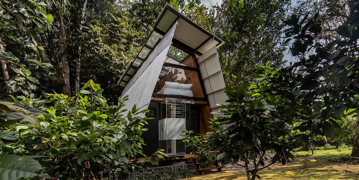La Cabin immersa nella giungla: ‘unconventional’, funzionale, deliziosa